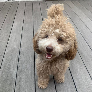 Meet your Posher, Katerina